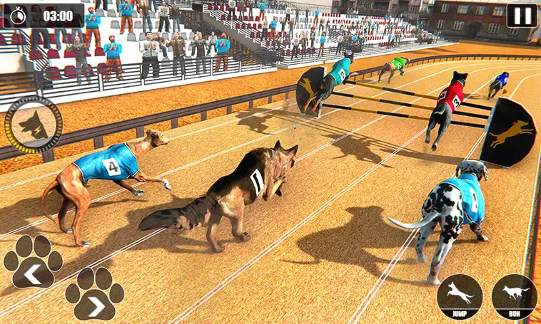 Bí Quyết Thắng Lớn Với Game Nhanh Đua Chó Tại Hi88 2 Bí Quyết Thắng Lớn Với Game Nhanh Đua Chó Tại Hi88